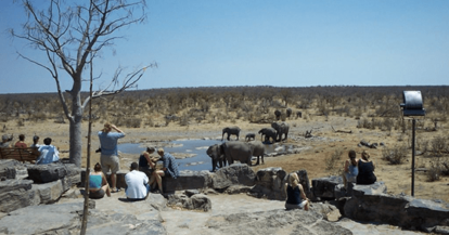 4 Days - Etosha Camping Guided Safaris_2-9-min